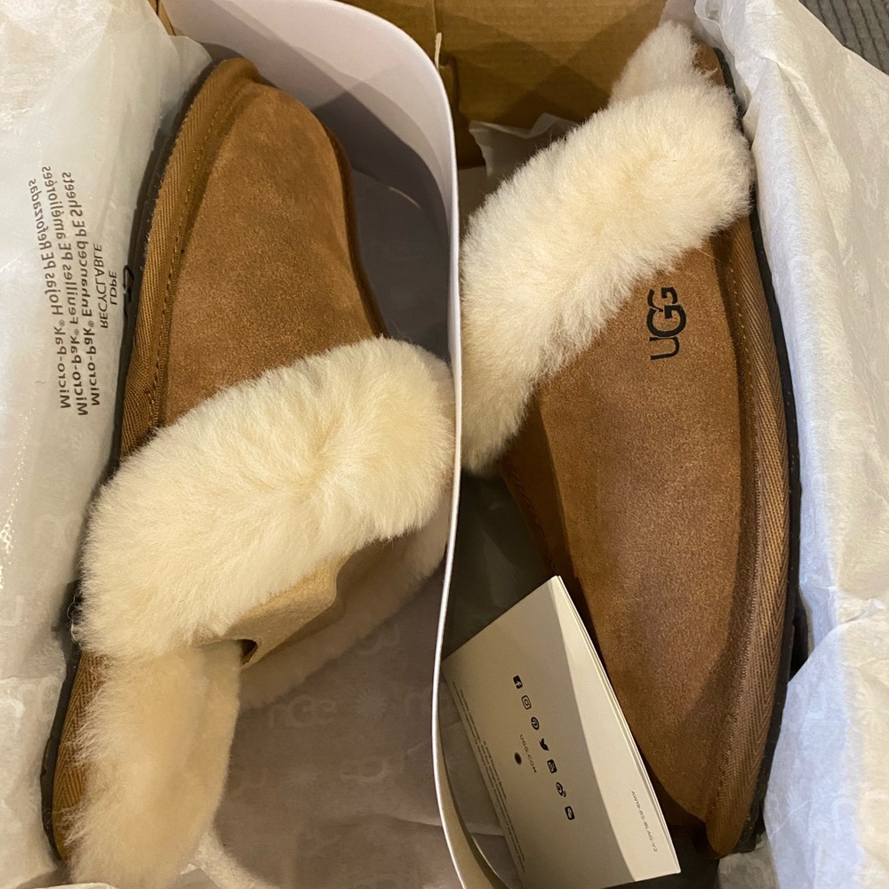 UGG slippers
